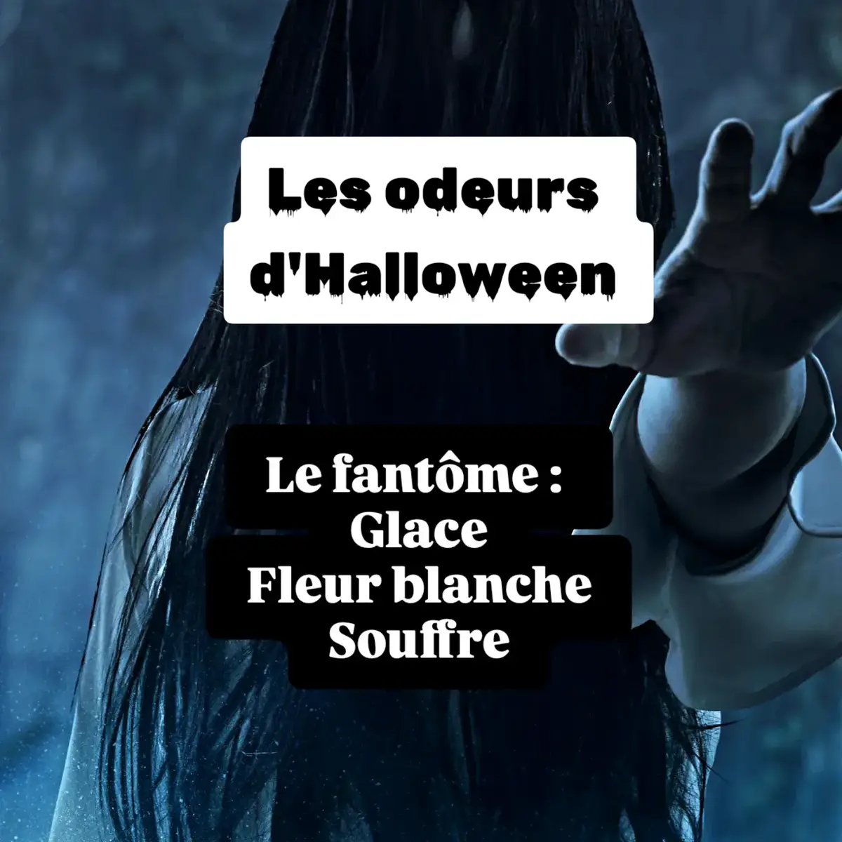Si Halloween avait une odeur... 🎃 Frissons, sueurs froides, maison hantée ou zombie!  Si tu devais imaginer leurs odeurs, comment seraient-elles ?! Avec Halloween, c'est l'occasion de faire travailler notre imagination! Voici en images mes descriptions d'odeurs terrifiantes... 🧟‍♀️ #parfumeurfauve  #halloween2024  #imagination  #creationdeparfum  #peur #manoirhanté  #zombie  #fantome #cimetiere #odeurs #terreur  #parfumeur  #sorcière #loupgarou  #sueurfroide  #poussiere  #humidity 