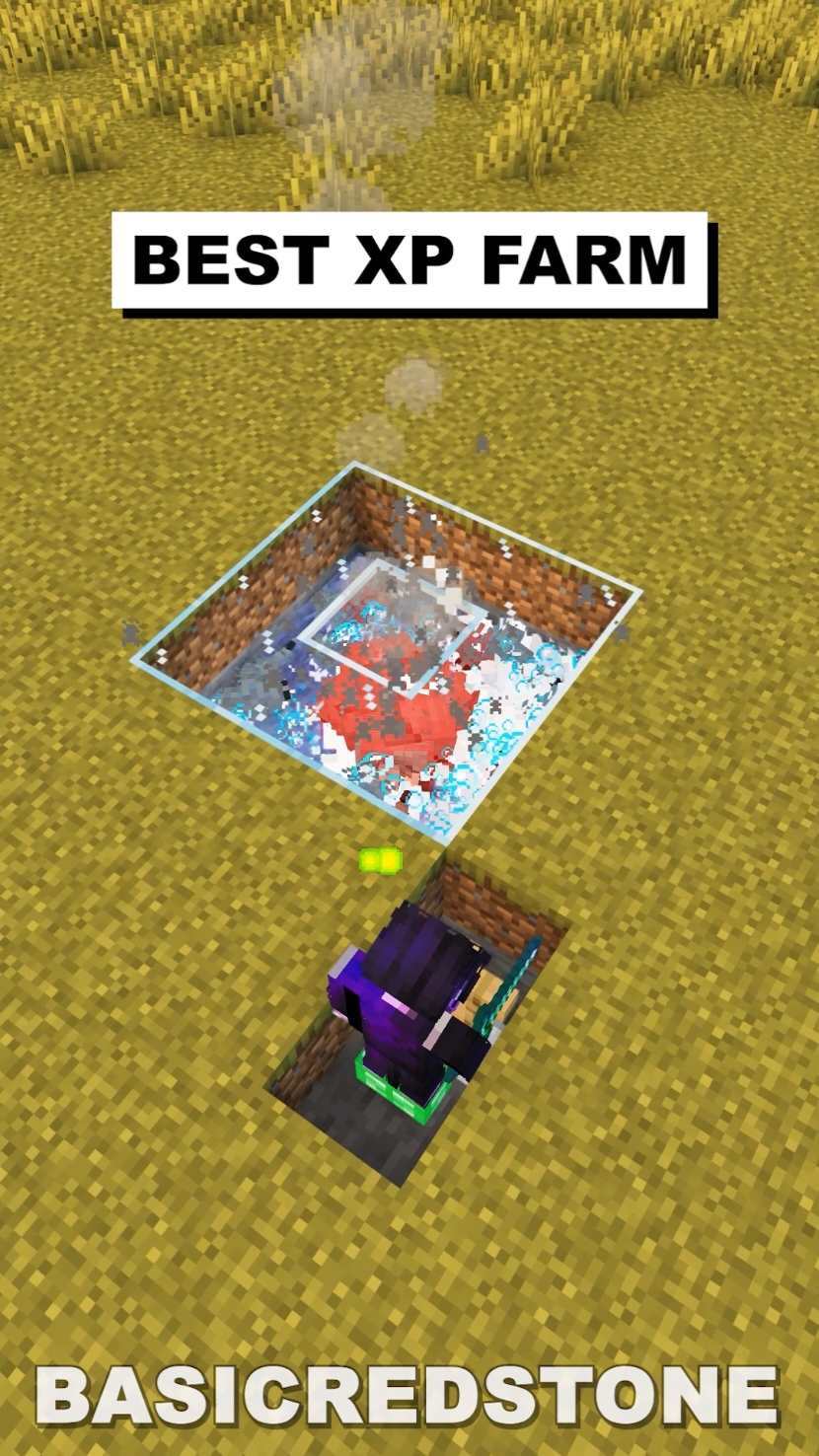 Minecraft XP Farm! With Armadillos! #minecraftfarm #minecrafttutorial #Minecraft 