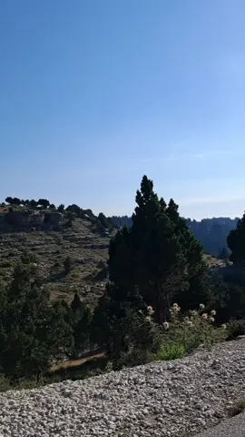 يا قلبي مين مين مين يداويك يا قلبي مين مين مين اللي حاسس بيك كل اللي حاصل ليك يا قلبي من الحب الأولاني الحب الأولاني أصل الهوى بيصيب غدار وطبعو غريب بس الآلام بتطيب برموش الأسمراني الليل عليّا قاسي والصّبر في بعده طال لو يوم يرمي التماسي ويطمنّي بسؤال الشوق يهون وإزّاي أخون وغرامو كل ناسي أصل الهوى بيصيب غدار وطبعو غريب بس الآلام بتطيب برموش الأسمراني ده حبيبي اللي نساني وسقانس من العذاب هوّ اللي هواه ناداني وهواه من غير حساب برتاح معاه أسمع نداه تضخكلي الدنيا تاني أصل الهوى بيصيب غدار وطبعو غريب بس الآلام بتطيب  برموش الأسمراني🎶❤️👑 @Georges Wassouf  . . . #WelcomeWassouf #الحب_الاولاني #سلطان_الطرب #سلطان_الطرب_جورج_وسوف #سلطان_الطرب_جورج_وسوف🕊️ #سلطان_الطرب_أبووديع #ابووديع #ابووديع_سلطان_الطرب #ابو_وديع #ابو_وديع_سلطان_الطرب #ابو_وديع_جورج_وسوف_ #وسوف #وسوفيات #وسوفيات_ابو_وديع_سلطان_الطرب #وسوفيات🎼🎤🎧👑🎻 #الوسوف #الوسوفي👑🎼🎶 #جورجوسوف #جورج_وسوف_🔚ابو_وديع_سلطان_الطرب👑 #جورج_وسوف🎶🎵🎤🔚 #جورج_وسوف_سلطان_الطرب💙 #جورج_وسوف_سلطان_الطرب_الاصيل #جورج_وسوف_سلطان_الطرب_ابووديع #اغاني #Sing_Oldies #لبنان #الوطن_العربي #تيك_توك #تيك_توك_عرب #متابعه #ليك #اعادة_النشر🔃 #page_old_songs 