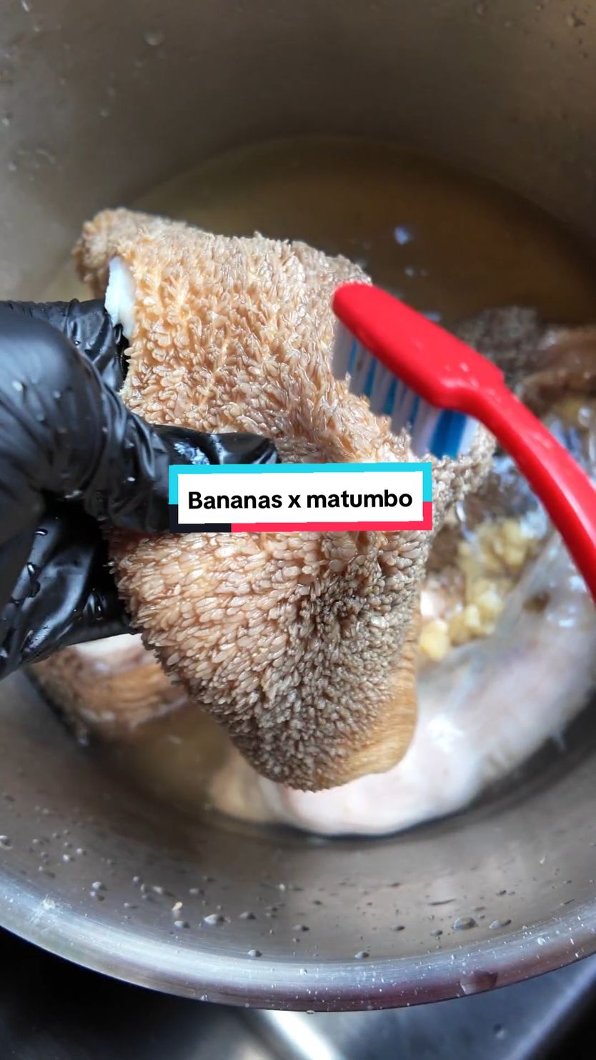 Leo nilisema sikuli chakula nimezoe... nakula ya wa-Meru. An easy green bananas and matumbo recipe for you♥️. I used my royco spices for more flavour 💯. Combo deadly sanaa🙌🏼 enjoy the food as dinner or lunch. #cooking #how #howtotiktok #cook #greenbanana #matumbo #meat #stew #easy #Recipe #dinner #foryoupag 