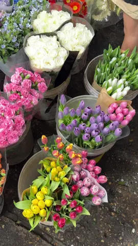 Người thật sự yêu bạn sẽ tìm ra lý do để được tặng hoa cho bạn, chứ không phải là: “Ai lại tặng hoa cho một bông hoa”#fypシ #yeuhoa #flowers #trendflower #hoaxinh #hwadestudio 