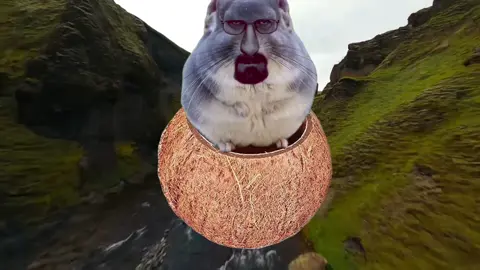 holy **** im ****** lois #holy #f #uck #im #coming #lois #familyguy #hamsterberger #fy #itsbeenawhile 