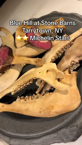 The main course of the greatest tasting menu in the USA was served 4 hours into the 6 hour meal. Jimmy Nardellos, Oranos peppers, cranberry beans and pasture raised lamb served 3 ways guaranteed I would leave very full. By this time of the night I had eaten over 35 different fruits, vegetables, fish, meats, breads, spreads, eggs and more. A pork taco and 5 desserts still to come. They even sent me home with a loaf of fresh baked sourdough bread. This is why two Michelin star Blue Hill at Stone Barns is one of my favorite restaurants. #eating #asmrfood #michelinstar #bluehillatstonebarns #highspeeddining 