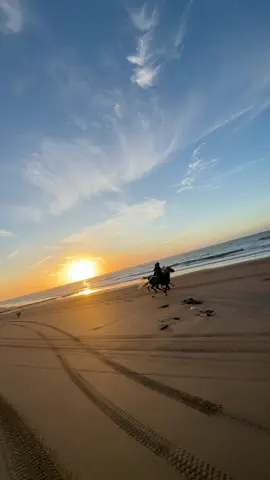 Sunset rides are the best ✨ Riders: @The Official Horse Account & @Anastasia🇺🇦  👉🏼 We are a Travel Agency based in Essaouira (Morocco). Join us for an unforgettable horseride holidays. Ride the best horses in town, and meet the best team of riders.  . . . . . . #horses #horsesoftiktok #horse #horsetok #equestrian #fyp #cheval #fypage #viral #viralvideo #pferd #horsesontiktok #лошадь #horselove #essaouira #morocco #lovak #caballos #cavalli #horsegirl #horsemanship 