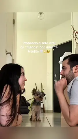 we are family ❤️  #pet #cat #dog #cute #animals #foryou #typ