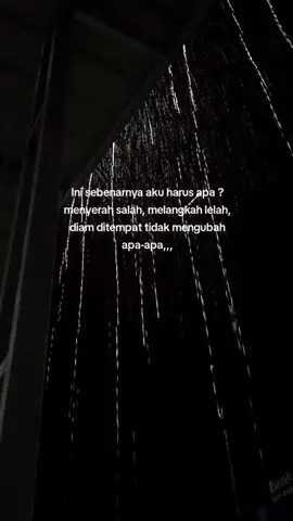 #fyp 