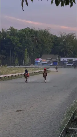 #aragonstable #kudapacuindonesia #Lintaspacu #horseracing 