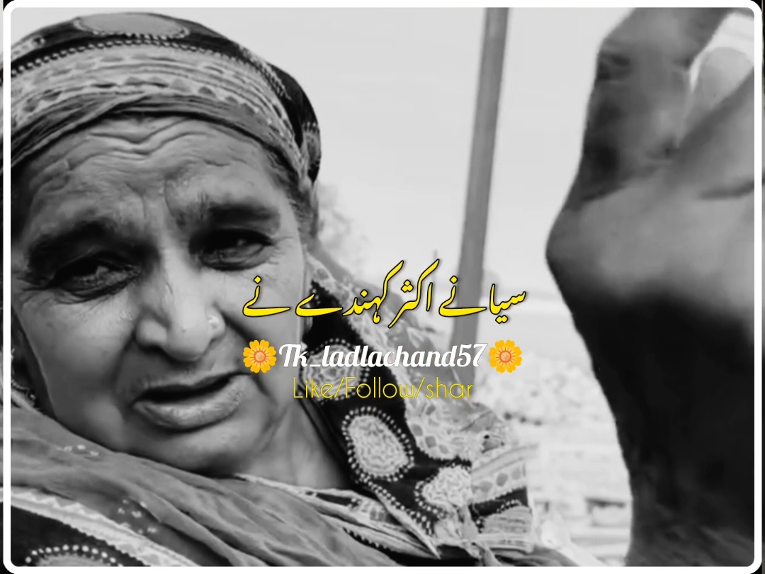 سیانے اکثر کہندے نے 💯🔥👿#foryou #foryoupage #burhan_tv #fyp #fypシ #viral #viral_video_tiktok #punjabipoetry#ziddiladka 