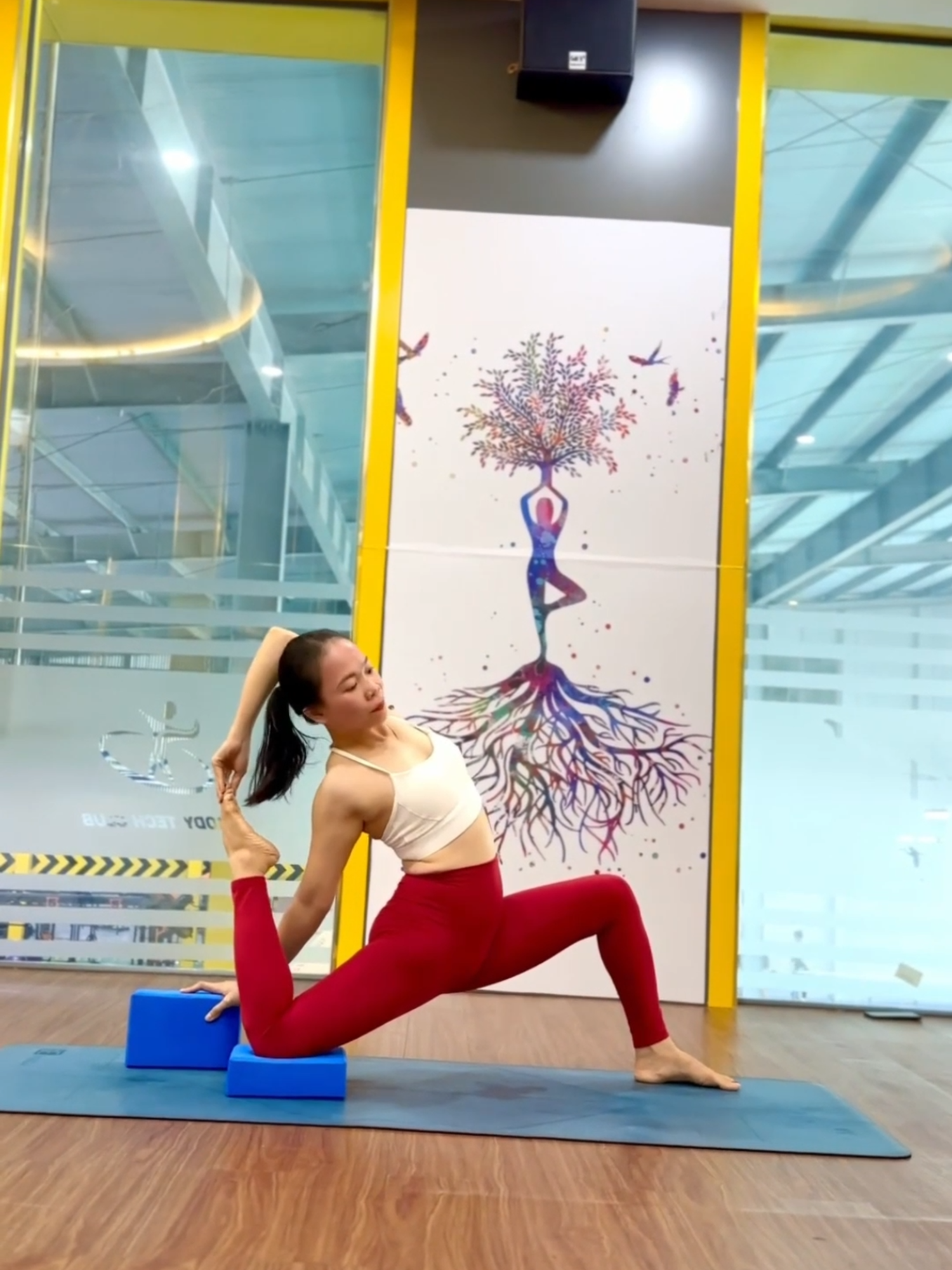 Tập bồ câu nâng cao với gạch yoga #yoga #blockyoga #gachyoga #gach_tập_yoga