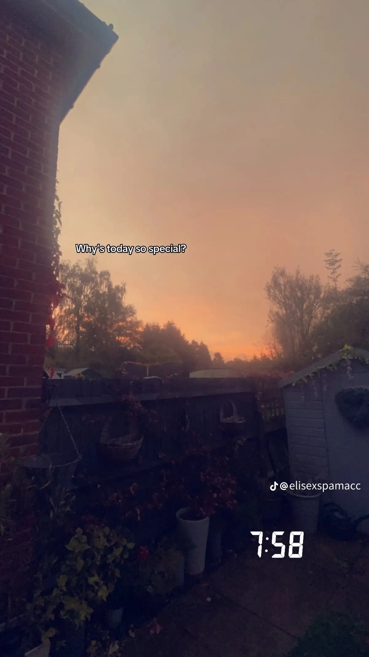 Mocha and chloe are my dogs that passed away a few years ago and i loved them so much! We got them from a shelter and it hurts so much to not have them anymore.