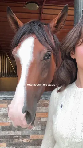 Winter is coming ❄️