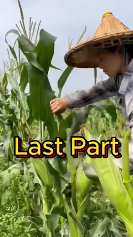 Last Part #StoryTime #MoralStory #IslamicStory #fly #growth #UrduStory #Online #viral #100k #UrduKahani #foryou #500k #video #account