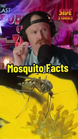 SAVE DA BEES!!!! #LastPodcastOnTheLeft