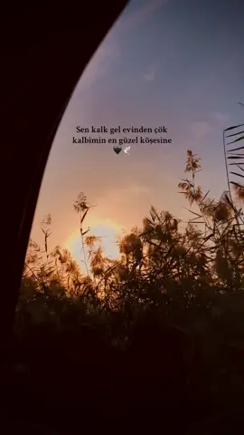 Bırakma beni kendi kendime ;) #fypp#viral_video#manzara#beniöneçıkart #Love #keşfetengelimikaldır #karasevda #senkalkgelevinden 