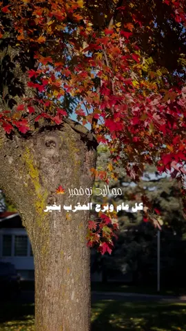 كل عام ونحنا بألف خير وألف عقرب 🦂😆باللبنانى نحنا منقول ..(جنب العقرب لا تقرب 😉🦂🤎…)#canada_life🇨🇦 #ناصر_الوبير #fyp #november 