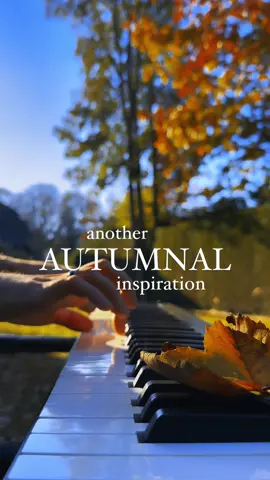 Do you like this season? 🍂🎶 #piano #music #autumn #fall #fallseason #inspiration #musically #fyp 