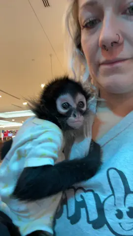 We enjoyed watching @Ice Cream Lab & Shakes  make our little dessert. #fyp #fyppppppppppppppppppppppp #fypシ゚viral🖤 #foryoupageofficiall #foryou #foryoupage #foryoupage❤️❤️ #foryouu #monkey #monkeys #monkeysoftiktok #spidermonkey #spidermonkeys #spidermonkeysoftiktok #monkeylover #monkeybaby #monkeylife #ourlife #ouradventurebook #monkeyface #dessert #iccream #yumm 
