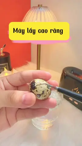 Máy lấy cao răng kiêm bàn chải điện LC-H156 chăm sóc răng miệng mỗi ngày, không còn nỗi lo sâu răng, hôi miệng #caorang #voirang #nhakhoa #maylaycaorang #xuhuong #dogiadungthehemoi #niengrang #thammy #ranghammat