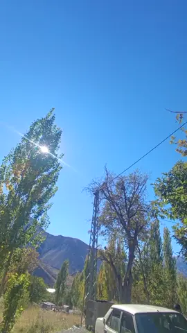 #01EMZ88 #🕊️🌹 #fypシ゚viral 