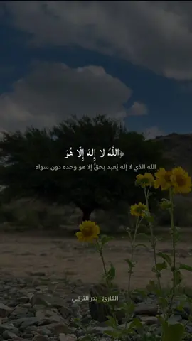 آيـة الكرسـي🤍 #بدر_التركي #سورة_البقرة #القران_الكريم #ايه_الكرسي #التفسير_المختصر 