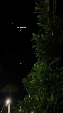 ♥️✨ #ahmeedashraf120 #foruyou #video #fyp #videoviral #explore #trendingvideo #raselbar #marketingdigital #fyyyyyyyyyyyyyyyy #fyyyyyyyyyyyyyyyyyyy #راس_البر #حسام_حبيب 