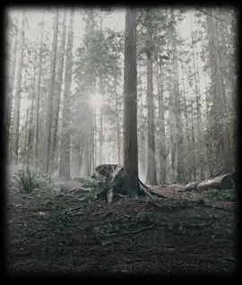 essa dupla🥰//cc:minha  #theflash #theflashcw #grantgustin #barryallen #barry #arrowverse #arrow #stephenamell 