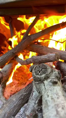 من_العمر #موال #احمد_الخنسا #عتابا #عتابات #رجاء #الله #توكلت_على_الله #من #العمر #شو #م #اجر_لي_ولكم #احلا #مواويل #عتابات_من_القلب #فقدان #اشتياق #مشتاقين #مخيمات_الشمال_السوري #مخيمات_اللاجئين_السورريين #مخميات #نازحين #الان #تحياتي_لجميع_المشاهدين_والمتابعين #شكرا_على_دعمكم💖 #شبة_نار #ستوريات #ستوريات_حزينة #عنتاب_اسطنبول_تركيا_سوريا_حلب #بعلبكي #بعلبك #البقاع #لبنان_مصر_الخليج_سوريا #اكسبلور #foryou #foryoupage #kingsaaer #foryou #foryoupage 