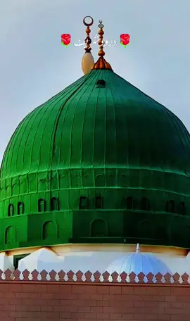 Darood Sharif #daroodshareef #madina #muhammad #viral #tiktokviral #foryou #foryoupage #islamic_video 