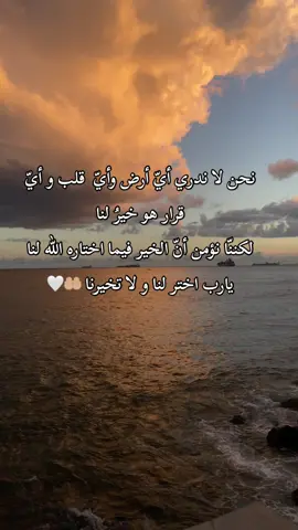 يا رب…🤍 #يارب #يارب❤️ #يارب_دعوتك_فأستجب_لي_دعائي #يارب🤲 #يالله #يالله_ارحمنا_برحمتك_ياارحم_الراحمين #يارحيم_ارحمنا_وادخلنا_جناتك 