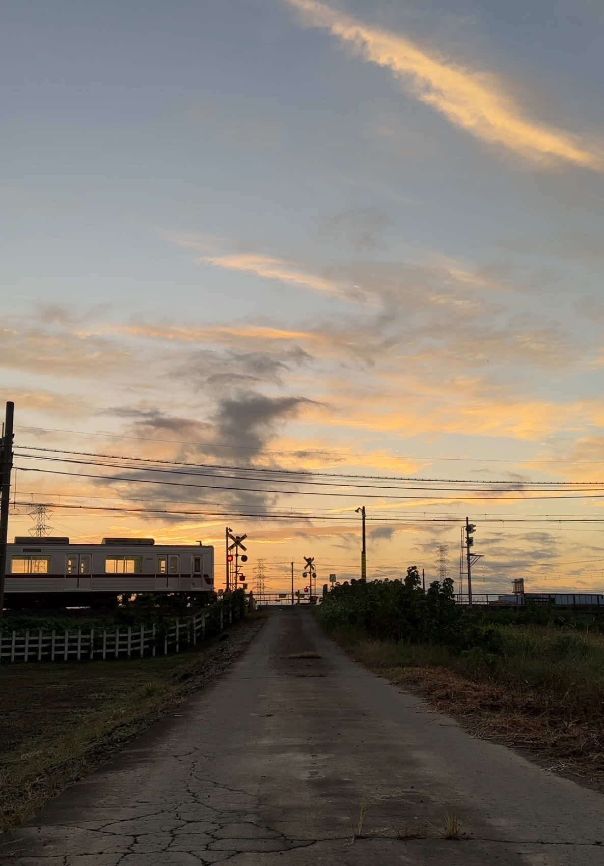 Only 8 letter , lagu ini nyambung aja sama berbagai vibes 😲😖🫵🌄🚞✨ #fyp #japan #日本 #おすすめ #aesthetic #sunrise #lewatberanda #xyzbca #4upage #animevibes #storytime #lyrics 