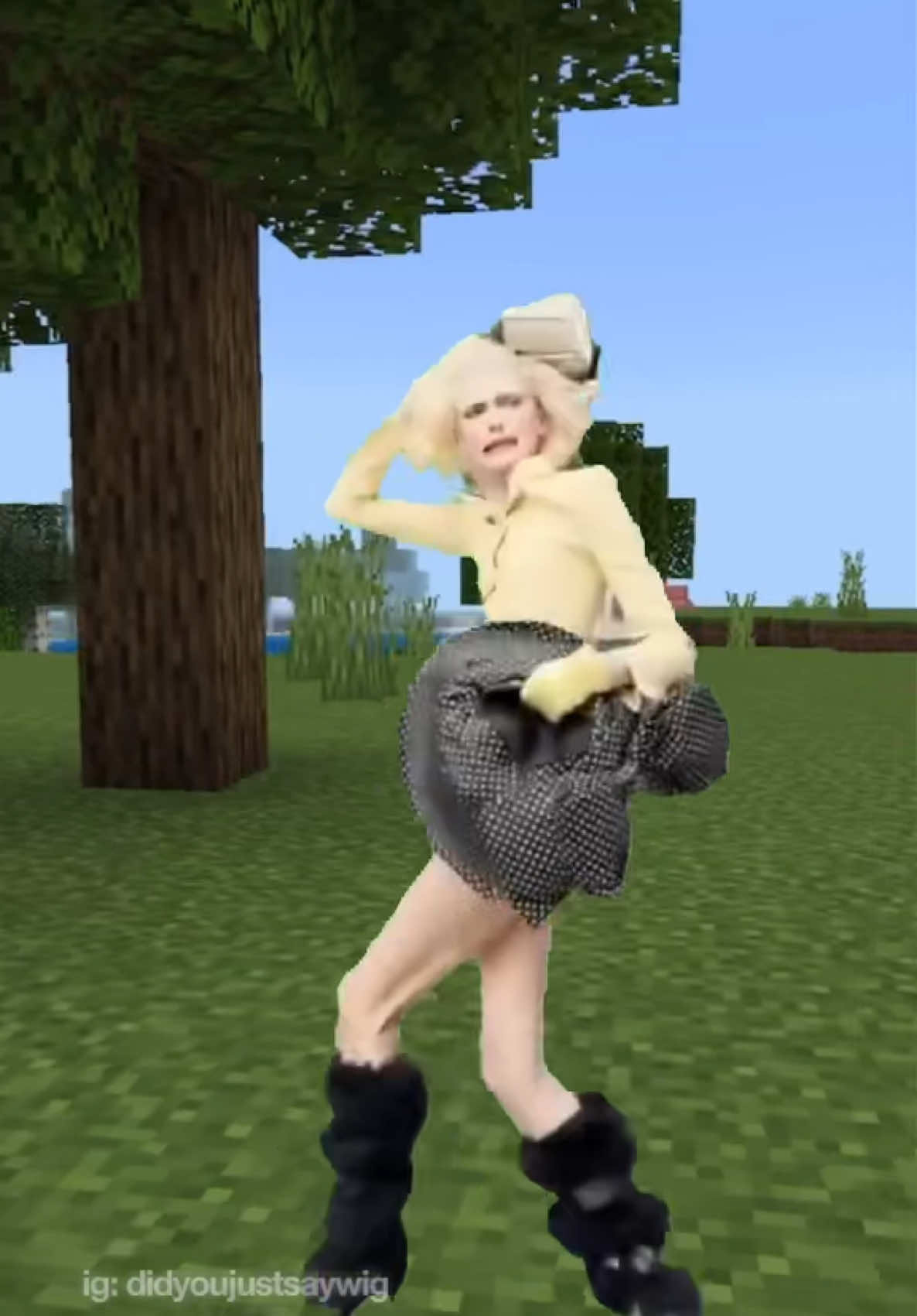 SOMEONE HELP HER #fyp #foryou #Minecraft #alexconsani @Alex Consani @CERTIFIED LEOO 