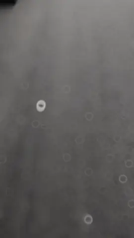 semangat nguli👷🏻 #สปีดสโลว์ #สโลว์สมูท #fypシ #chal #quotes #quotestory #katakata #story #kuli #aesthetic #helemkuning #kulipabrik #imip #imipmorowali #imiphits #imip_helmkuning👷‍♂️ #imipmorowalisulteng #status #morowali_sulteng_bahodopi #fyppppppppppppppppppppppp #xyzbca #slowmo #slowmotion 