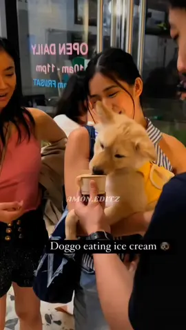 Armstrong family they finally met bini aiah and her furbaby THE DOGS NAME IS NOT OFFICIALLY REVEALED BY BINI AIAH SO IF U KNOW THE DOGS NAME. PLEASE BE QUIET NA LANG PO THANK U @becky armstrong @Bini Aiah Arceta @Richieee(real)  #RICHIEEE #foryoupage #daddyarmstrong #beckyarmstrong #foryou #richardarmstrong #armstrongsiblingsofficial #armstrongsiblings #teamarmstrongfamily #philippines #FYP #angelssbecky #xyzbca #fyp #fypシ #biniaiah #aiaharceta #bini #biniph #biniaiaharceta 