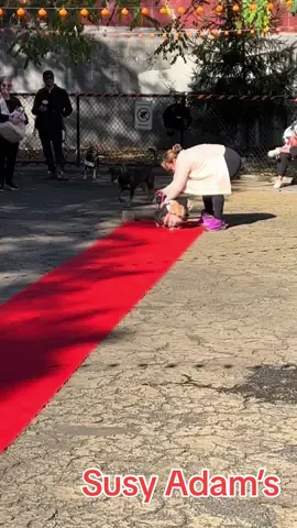 #susyadams#halloween24#momslovesme