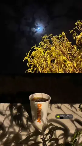 تحت القمر غنينا ♥️ #قمر #تحت_القمر_غنينا #دانكن #الليل #♥️ #حب #تصوير_قهوة #your_coffee #عبدالحليم_حافظ #اكسبلور 
