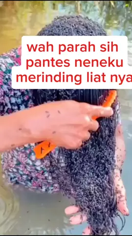 parah kutunya serem #trendingvideoviral #hewanunik #reels 