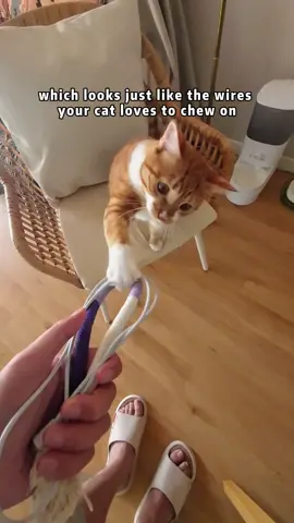 A wonderful choice for cat parents #cattoys #tiktokmademebuyit #chewrope #catowner #ilovecats #catlife #catlover 