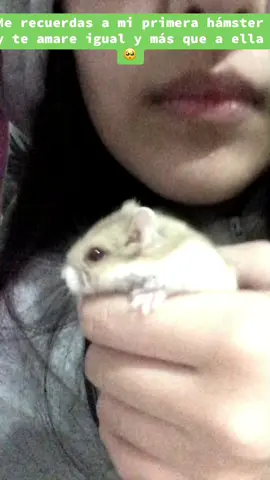 #humor #roedores🐹🐰🐭🐿️💖 #contenido #miselvahermosa🌴🍃🌞🐍 