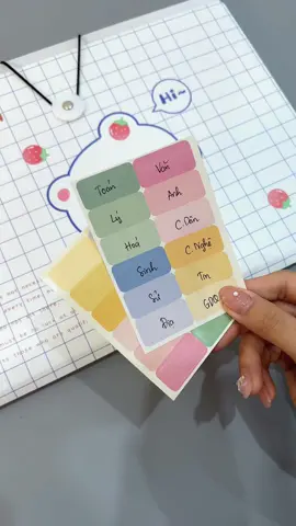 Chuẩn bị túi đựng tài liệu nhiều ngăn cho kì thi sắp đến#trending #xuhuong #fypシ゚viral🖤tiktok #tuidungtailieu #tuitailieu #tuidungtailieunhieungan #tuidungbaikiemtra #tienich #giare