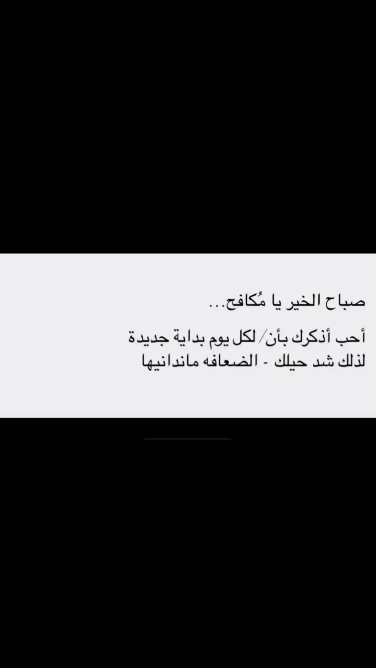 #بدايه_جديده #صباحكم_أحلى_صباح #لاتكن_ضعيفا #عباره_قد_تروق_للبعض_♡ #انتشار_واسع #اكسسسسسسسسسسسسسسبلورً🖤 