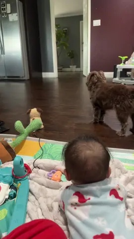 Este visitante esta raro mama 🤣🤣