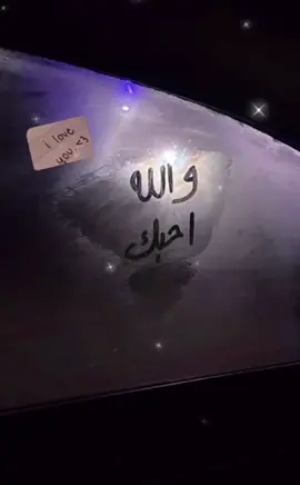 احبككك حب ما موجود🫵🏻😣#عشوائيات #اكسبلورexplore #argentina #foryou #تيك_توك 