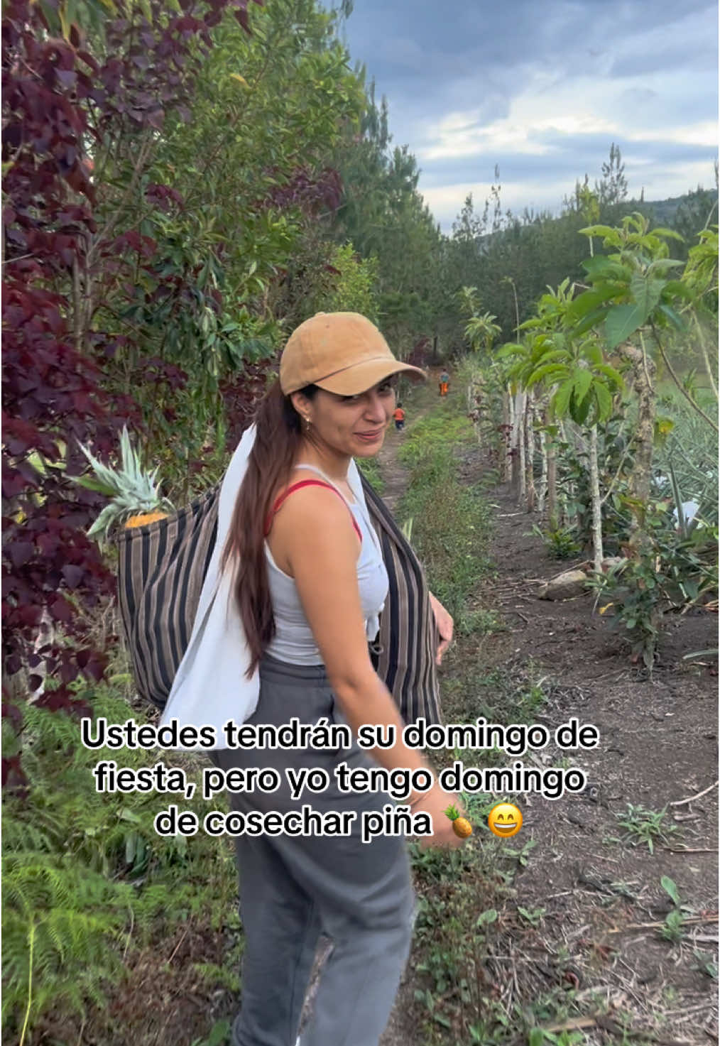 #chacra #piña  #cosecha  #amazonas  #familia  #viral_video  #tikto 
