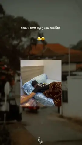 sira siddi 😪😅 #fyyy  #foryou #quotes #sinhalaquotes #viral #fyp #1millionaudition #whatsappstatus #onebillionaudition #viraltiktok #trending #srilankan_tik_tok🇱🇰 #nostalgia #aesthetic #memes #funny #d_i_n_u_page 