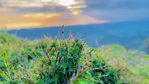 Hum duaon Main Milne waly hain🩵🫠 #foryou #standwithkashmir #kashmir #kashmairgroup #kashmiri #khuiratta_azad_kashmir #kotliajk🇬🇧🇵🇰 #Love #levelup #view #viral #tiktokpakistan #foryourpage 