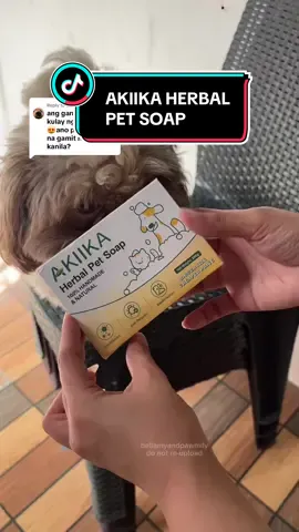 Replying to @babymottto akiika herbal pet soap na po ang gamit nila ngayon😊legit na nakakawala ng baho, nakakasmooth ng hair at long lasting din ang scent. Kaya try nyo nadin😉 #dogsoftiktok #akiikaherbalpetsoap #petsoap 