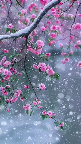 #beatefullscenery #nature #snow #usa #winter #paris #rain 