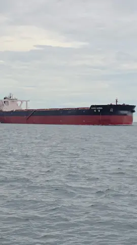 7 palka bulk carrier #pelautindonesia #pelautindonesia🇲🇨🇲🇨 #pelautindonesiatiktok #fyp #fouryoupage #seamenlife🛳🛳⚓⚓⚓🌊🌊 #