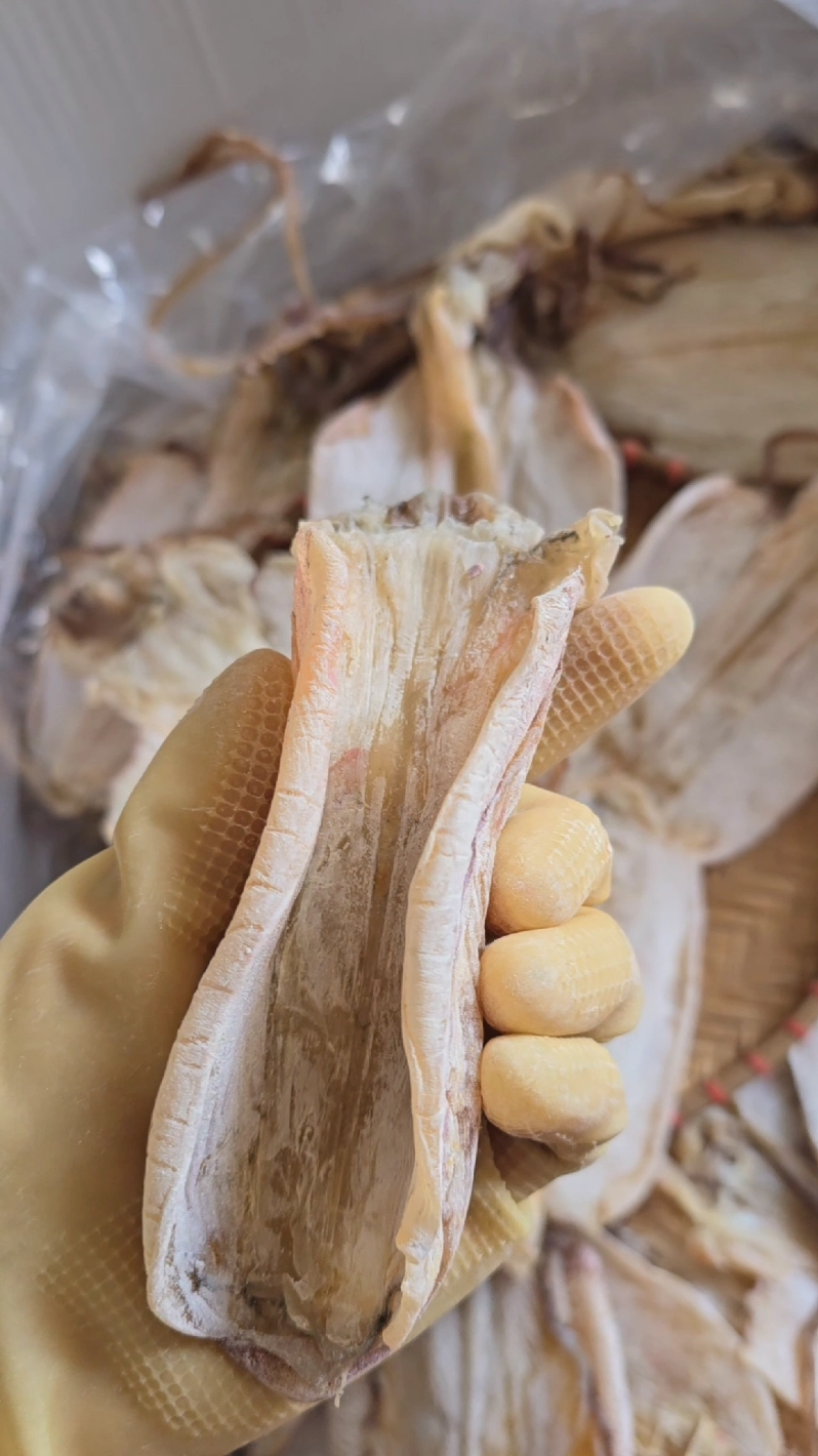 Mực lá câu loại chọn, đạt 3 yếu tố ngọt, thơm, mềm. #hảisảnthulệ  #mựckhô 