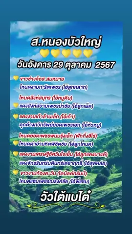 29 ตุลาคม 2567 #สนามหนองบัวใหญ่  #ขาวช่างจ้อสสมหมาย  #โหนดงามกะรัตเพชร  #โหนดสิงห์สมุทร  #แดงสิงห์สยามเพชรนำชัย  #แดงงามเก้าล้านเล็ก  #ดุกด้างทวีทรัพย์ยอดเพชรเอก  #โหนดยอดเพชรพนมรุ้งเล็ก  #โหนดดําอํามหิตพิชิตชัย  #แดงงามเศรษฐีอัศวินใจเย็น  #แดงงามจักรรินทร์บดินทร์เดชาฤิทธิ์  #ขาวงามก้องตะวัน  #โหนดแซมเพชรณรงค์ชัย  #ฟีดดดシ #fypシ #วัวใต้แบไต๋ 